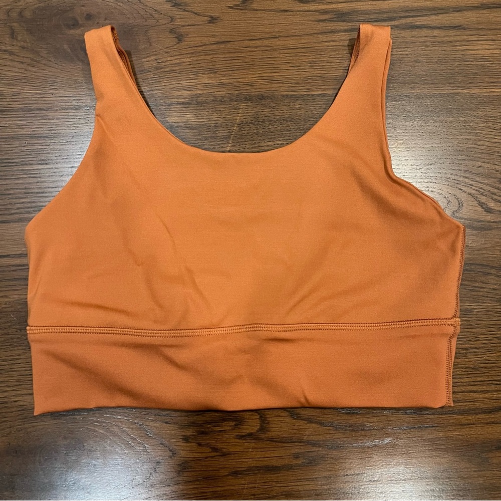 Aerie Goals Longline Sports Bra